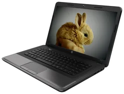HP 255 G2 (F0Z62EA)