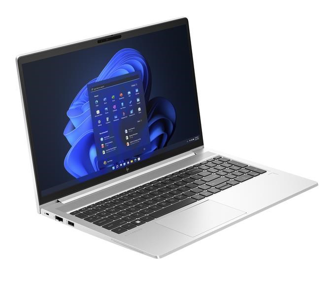 HP EliteBook 650 G10 (817W4EA)