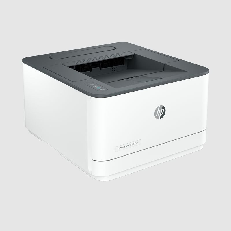 HP LaserJet Pro 3002dn (3G651F)