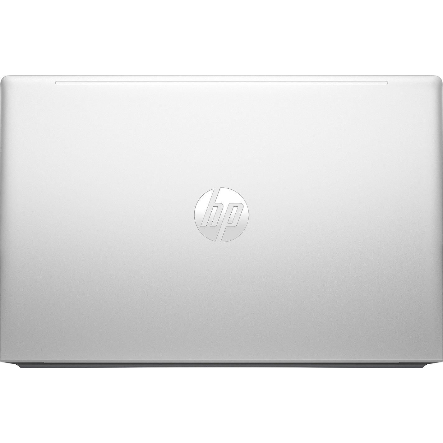HP ProBook 455 G10 (9Y703AT)