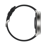 Huawei Watch GT3 Pro 46 mm, Light Titanium Case + Black Fluoroelastomer Strap
