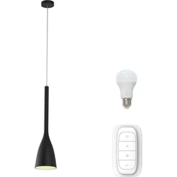 Immax NEO CRATER závěsné svítidlo černé sklo 11x42cm Smart zdroje E27 RGBW Zigbee 3.0 07069L - Vybavení domu