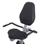 INSPORTLINE Recumbent Rapid RMB