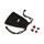 JBL T210 Black