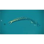 Jurassic World Evolution 2 Late Cretaceous Pack