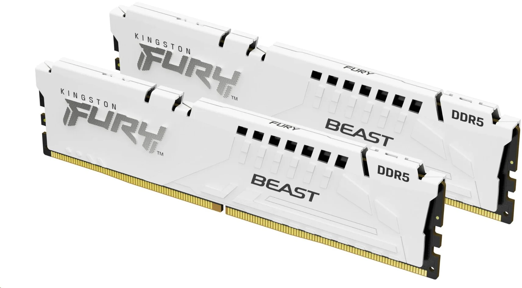 Kingston Fury Beast White DIMM DDR5 32GB 5600MHz, AMD EXPO, bílá (Kit 2x 16GB)