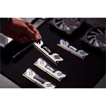 Kingston Fury Renegade Silver CUDIMM DDR5 48GB 8400MHz CL40 XMP (Kit 2x24GB)