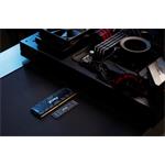 Kingston SSD Fury Renegade 2TB NVMe