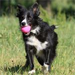 Kiwi Walker Plovací míček z TPR pěny, růžová, 7 cm