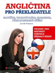Kniha Angličtina pro překladatele