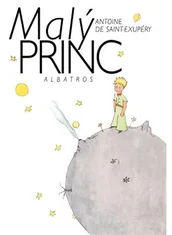 Kniha Malý princ