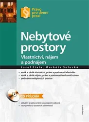 Kniha Nebytové prostory Vlastnictví, nájem a podnájem