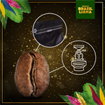 Kosatka modrá Brazilliana Toucano