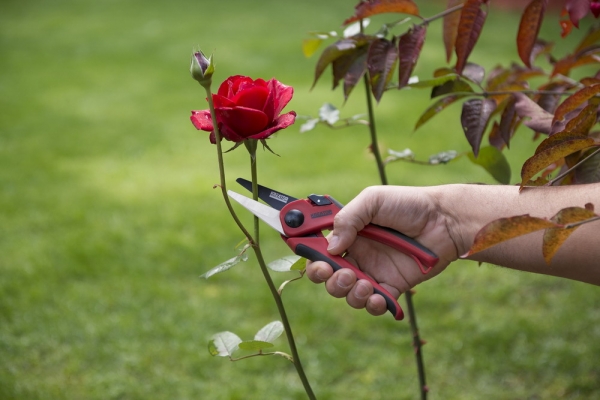 Kreator KRTGR1003 - Nůžky zahradnické 205mm přímé