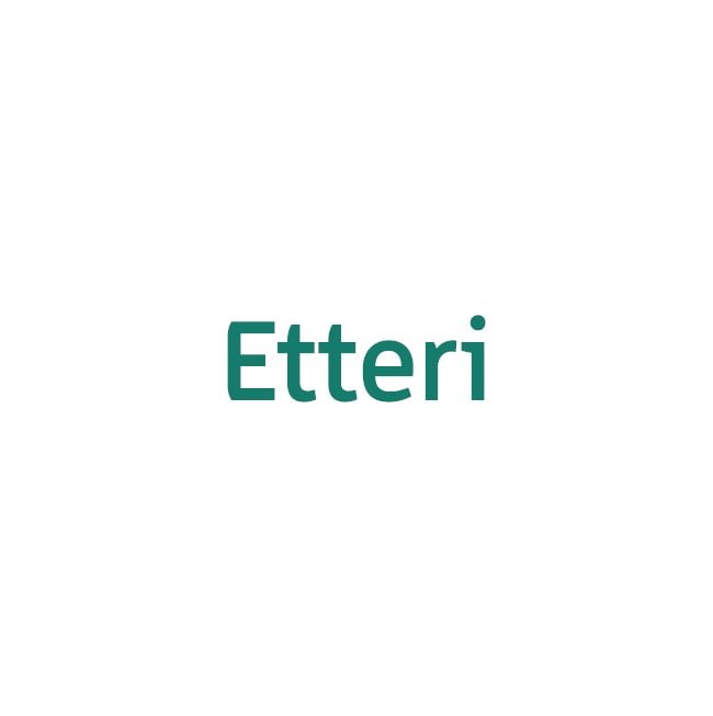 Kryty pro iPhone 16 Pro Etteri