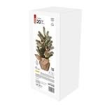LED vánoční stromek zasněžený, 52 cm, 3x AA, vnitřní, teplá bílá, časovač