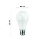 LED žárovka Classic A60 13,2W E27 studená bílá