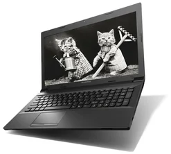 Lenovo B590 černý (59374009)