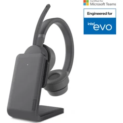Lenovo CONS 110 Stereo USB