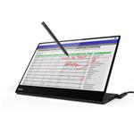 Lenovo ThinkVision M14t 14" (62A3UAT1WL)