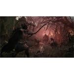 Lords of the Fallen Deluxe Edition