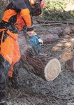 MAKITA UC025GZ Akumulátorová reťazová píla 350 mm Li-ion XGT 40 V, bez akumulátora Z