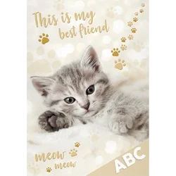 MFP Desky na ABC Kočka