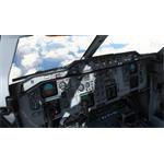 Microsoft Flight Simulator