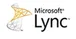 Microsoft Lync Server Standard 2010 OLP NL User CAL