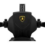 Milly Mally Odrážedlo s vodící tyčí LAMBORGHINI ESSENZA SC V12 zelené