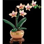 Miniatúrna orchidea LEGO Botanicals 10343