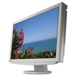 MO EIZO S2110W-WS 21,1˝ LCD/1680x1050/1000:1/16MS/DVI
