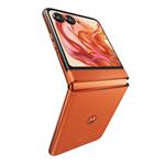 Motorola Razr 50 Spritz Orange