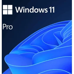 MS Windows 11 Pro for Workstations