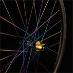MTB PROTOTYPE World CUP SP 29" Black Rainbow - 110/148 Boost, HG orech