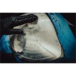Nasiol Headlight Restorer