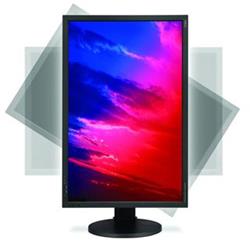 NEC 3090WQXi 30" LCD černý, H-IPS, 1000:1, 6ms, 16:10, DVI, pivot