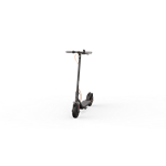 Ninebot by Segway® Kickscooter F30E