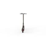 Ninebot by Segway® Kickscooter F30E