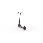 Ninebot by Segway® Kickscooter F40E