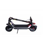 Ninebot by Segway® Kickscooter P100SE