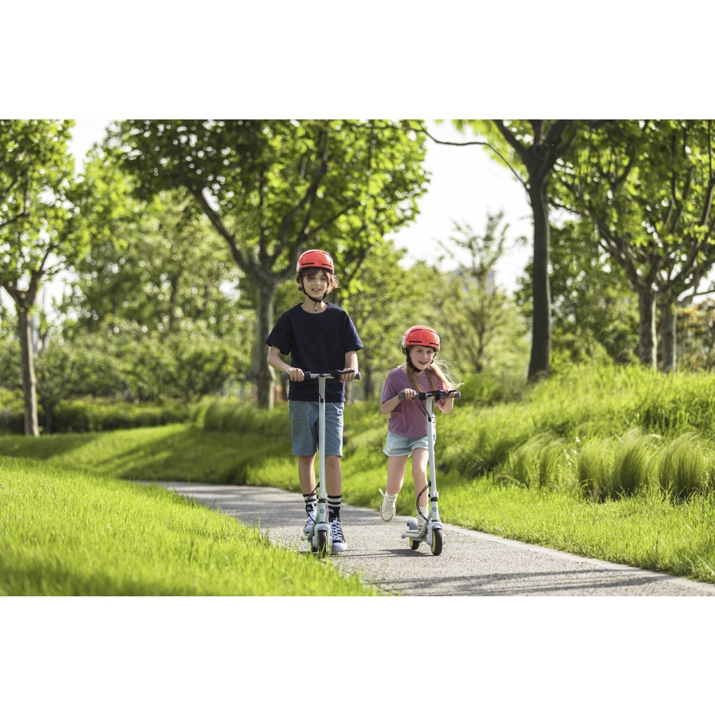 Ninebot eKickscooter ZING C8