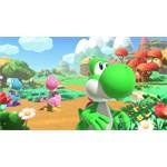 NS2 Yoshi and the Mysterious Book 