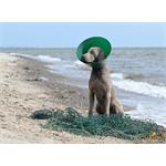 Ochranný obojok Buster Green Ocean Collar 15cm