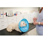 Ochranný obojok Buster Soft Flex Collar 15 cm