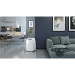 Olimpia Splendid Dolceclima Air Pro 14 HP WiFi