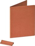 ONYX BOOX pouzdro pro GO 10.3 (Gen1 a Gen2), orange
