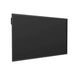 Optoma 1651RK IFPD 65"
