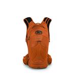 Osprey Raptor 10 s nádržou, oranžový západ slnka