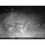 OXE Gepard II + 32GB SD karta zdarma